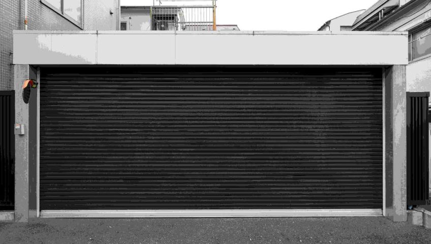 Professional Garage Door